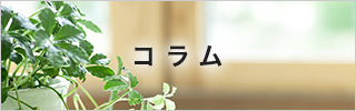 スタッフブログ